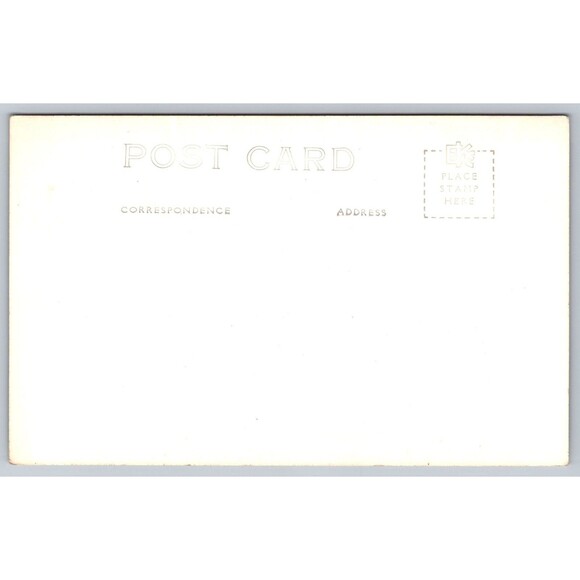 Postcard RPPC Michigan Porcupine Mountains State Park Deer Fawn 1945 Unposted MI - Picture 2 of 2